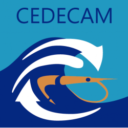 CEDECAM